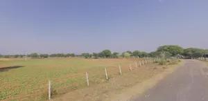 Dittupur, Punjab, India preview 2