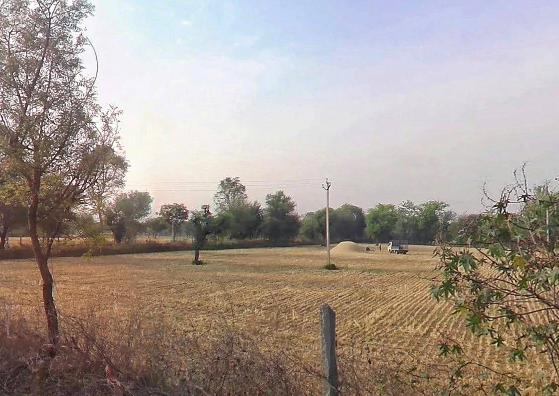 Ranoli, Rajasthan 332403, India