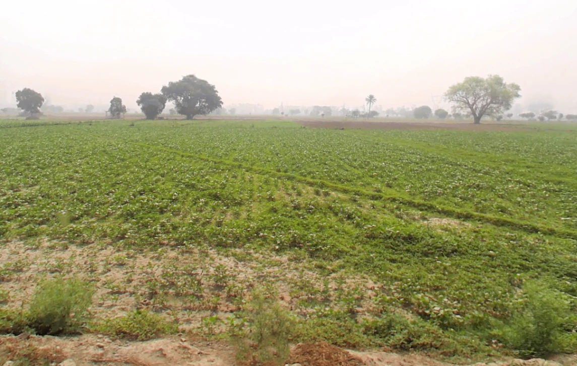 Murthal, Haryana, India