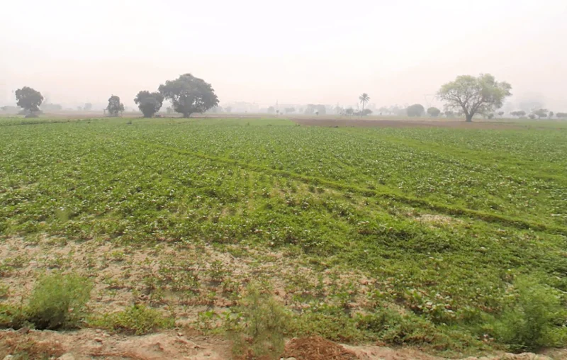 Murthal, Haryana, India preview 3