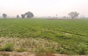 Murthal, Haryana, India preview 3