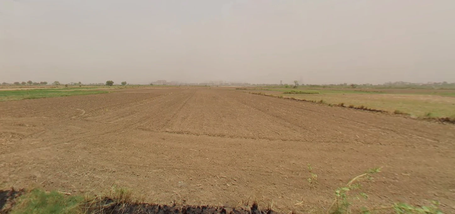 Mainawali, Rajasthan 335524, India
