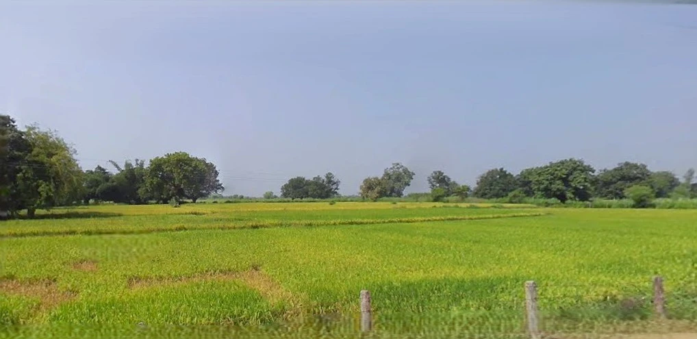 Chitrakoot Dham, Uttar Pradesh 210205, India