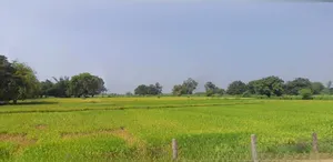 Chitrakoot Dham, Uttar Pradesh 210205, India preview 2