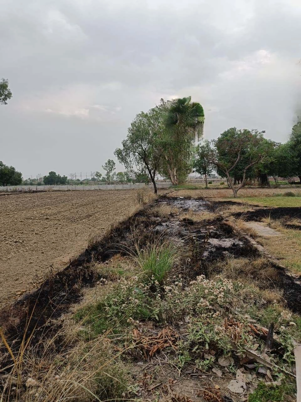 Chandauri, Uttar Pradesh, India