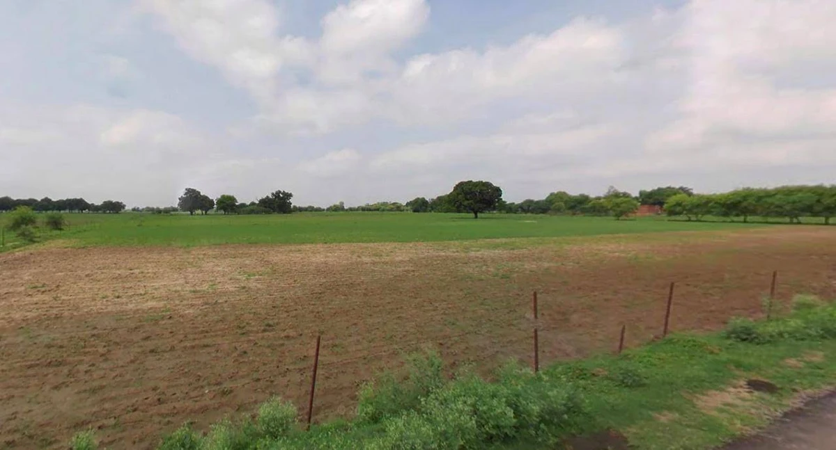 Laksar, Uttarakhand 247663, India