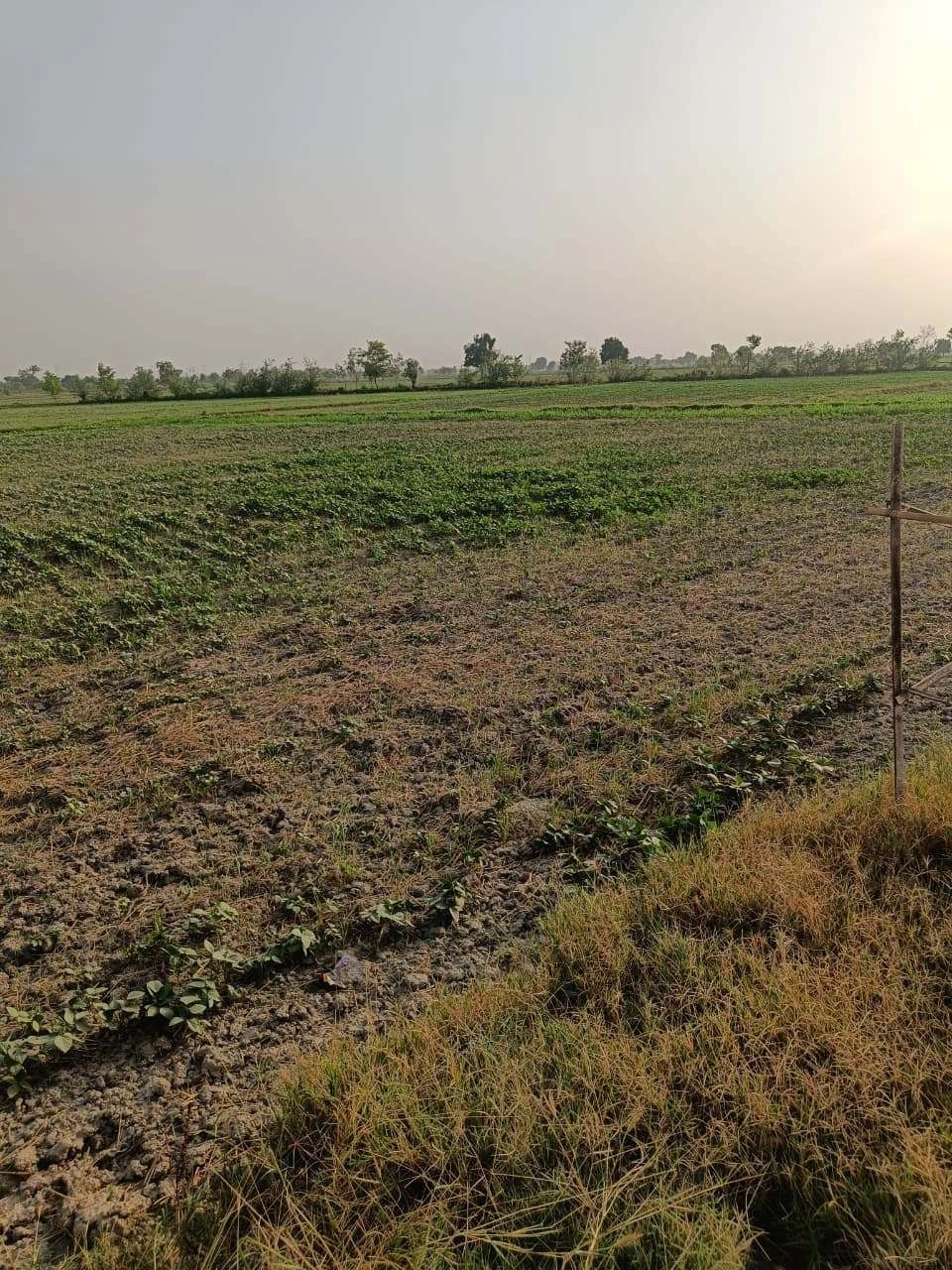 Tentigaon, Uttar Pradesh, India