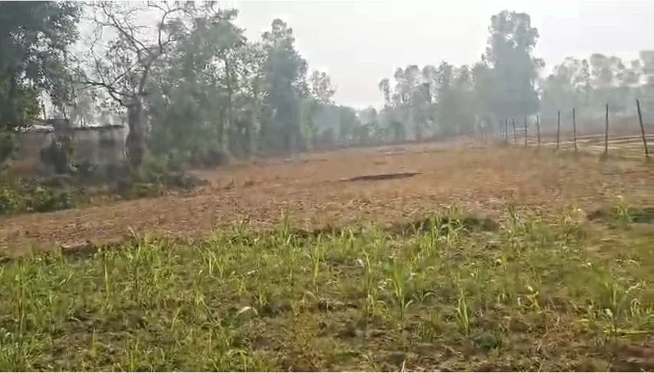 Bichalkha, Barabanki, Uttar Pradesh 225001, India