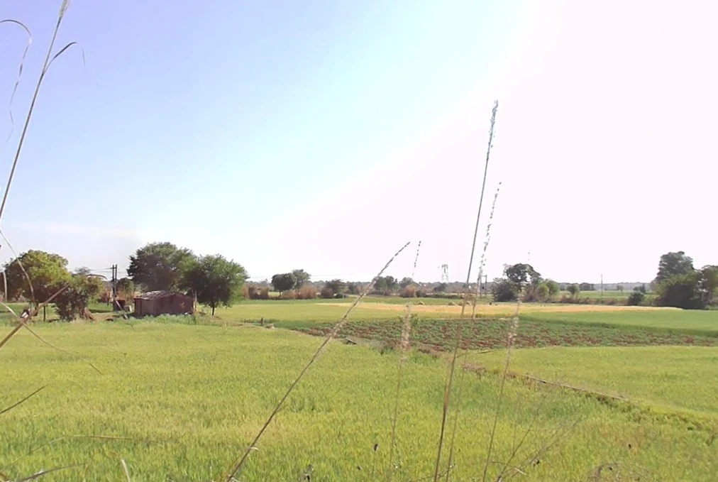 Prahladpura, Rajasthan, India