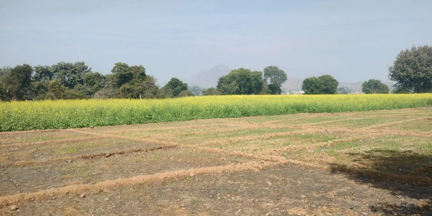 Tijara, Rajasthan 301411, India