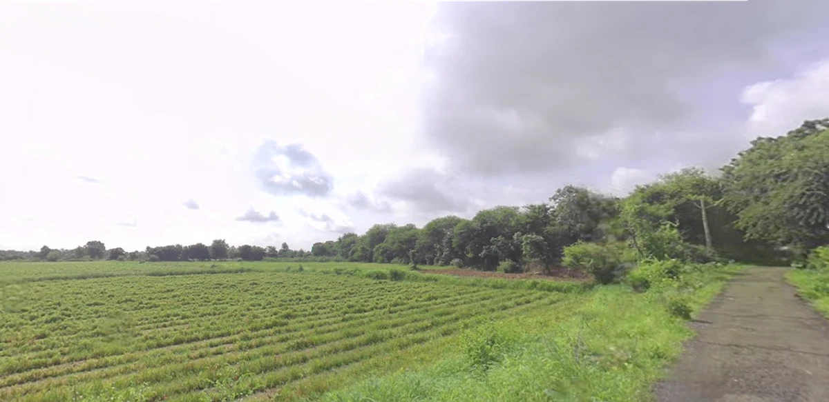 QCHW+2G Vanagla, Gujarat, India