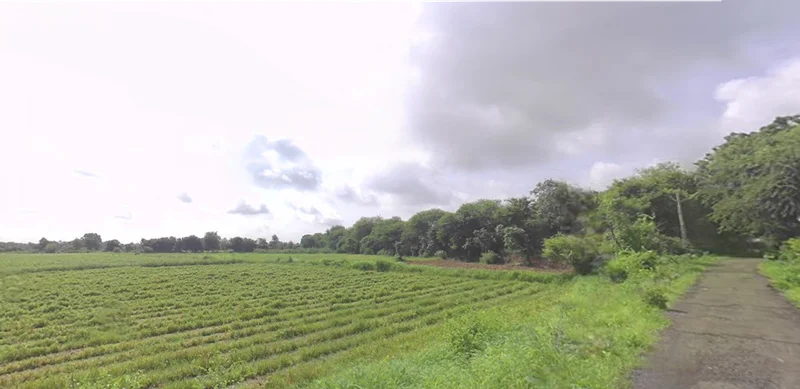 QCHW+2G Vanagla, Gujarat, India preview 2