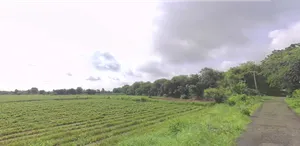 QCHW+2G Vanagla, Gujarat, India preview 2