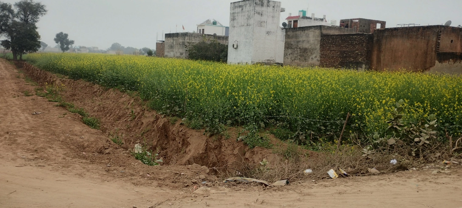 Barodameo, Rajasthan 301021, India