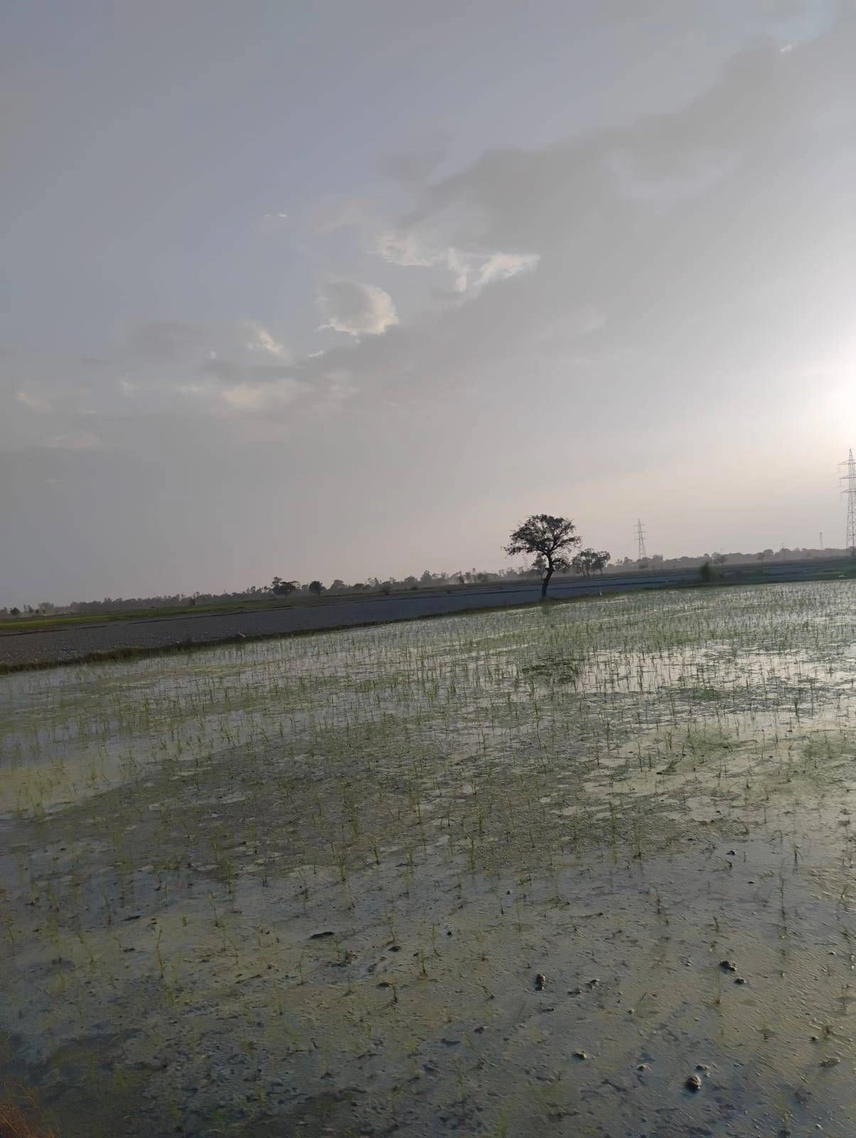Bishambhara, Uttar Pradesh 281404, India