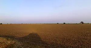 Plasva, Gujarat 362015, India preview 3