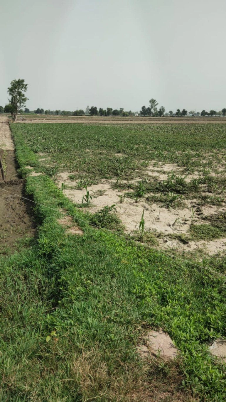 Ajijpur, Uttar Pradesh, India