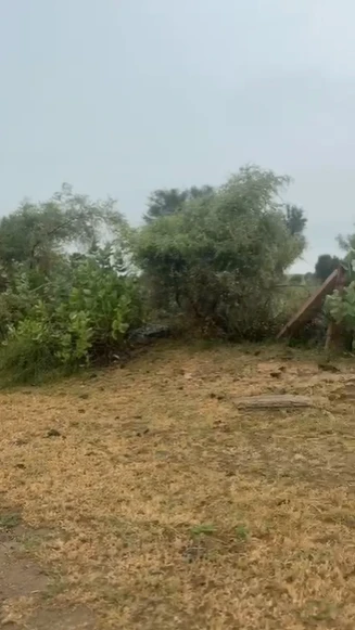 FJ85+X3R, Jaisangsar, Rajasthan, India