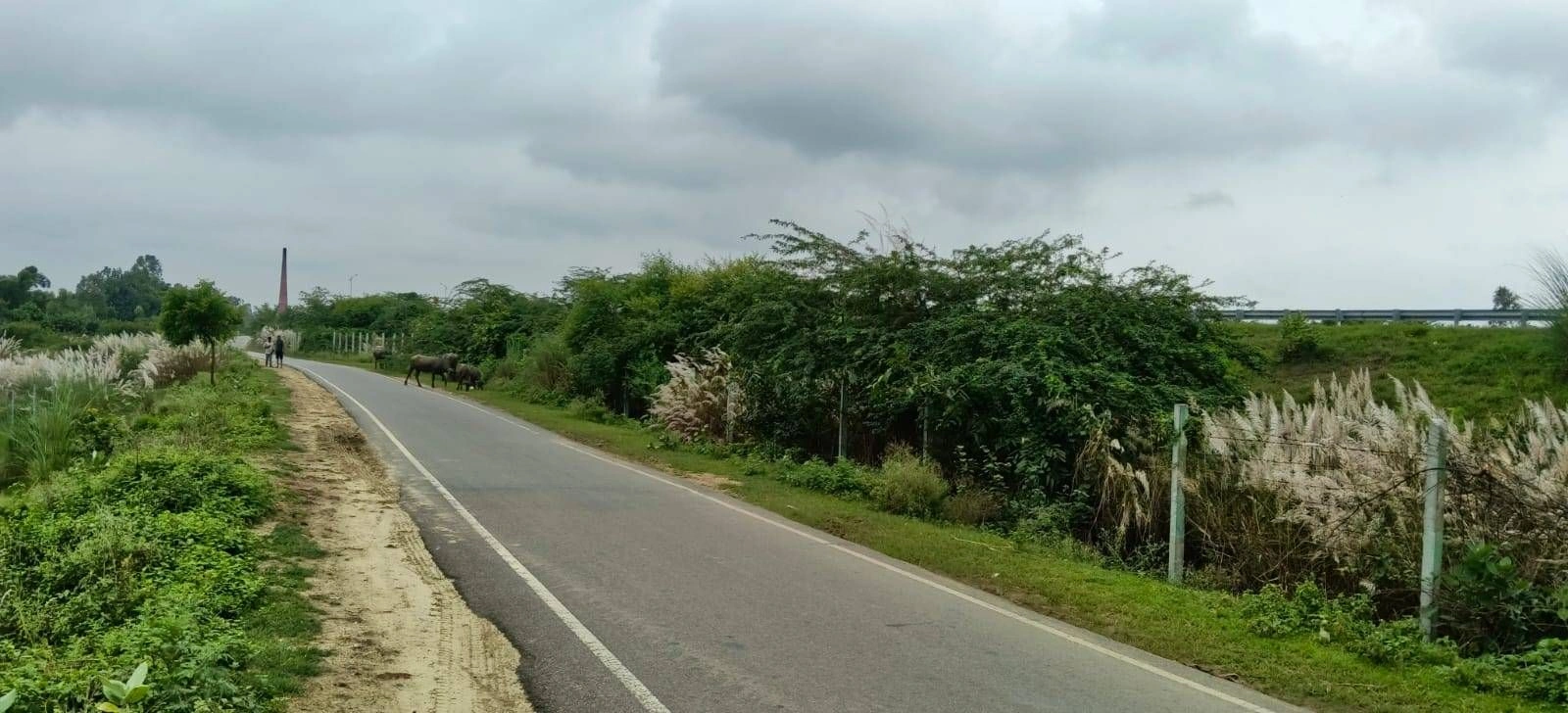 Mohanlalganj, Lucknow, Uttar Pradesh 226301, India
