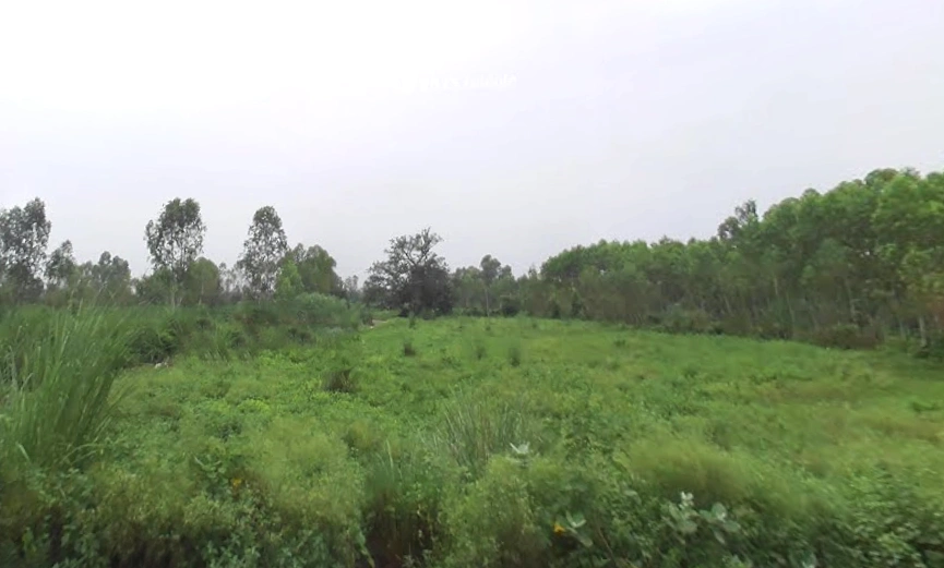 Sunderpur, Uttar Pradesh 247662, India