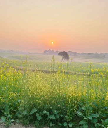 Khoriya Padma, Madhya Pradesh 456441, India