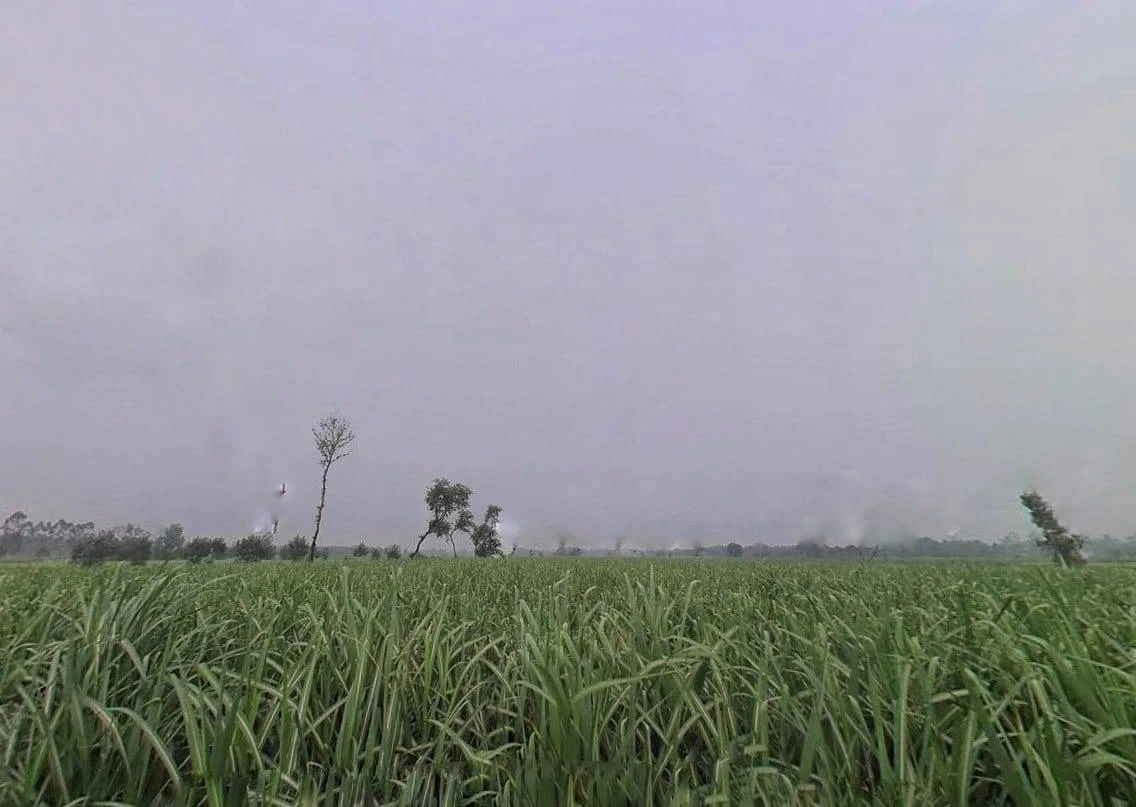 Sidki, Uttar Pradesh 247551, India