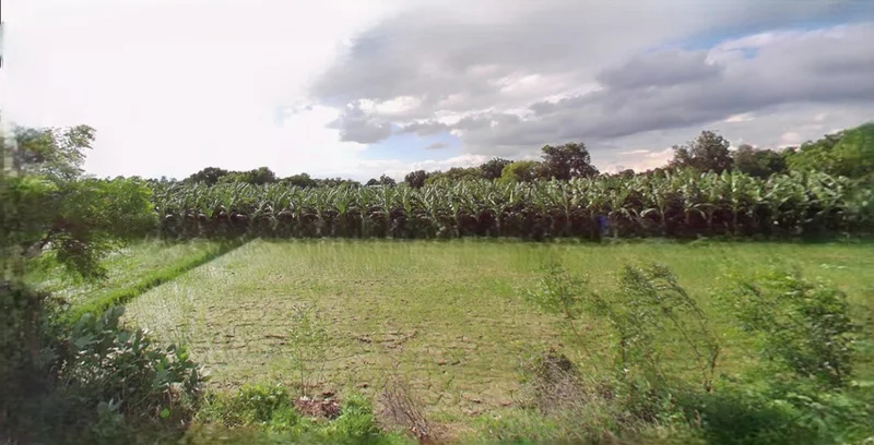 Indore, Madhya Pradesh, India preview 2