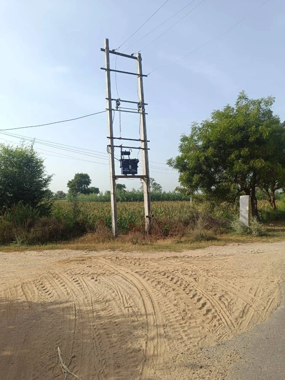 Adampur, Hisar, Haryana 125052, India