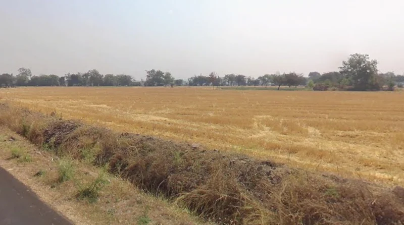 FJGW+43M, Mahidpur, Madhya Pradesh 456443, India preview 2