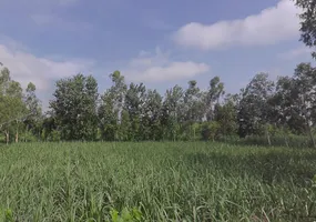 Sarsawa, Uttar Pradesh 247232, India preview 2