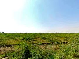 Q6R7+JRQ, Jawariya, Rajasthan 306401, India preview 2