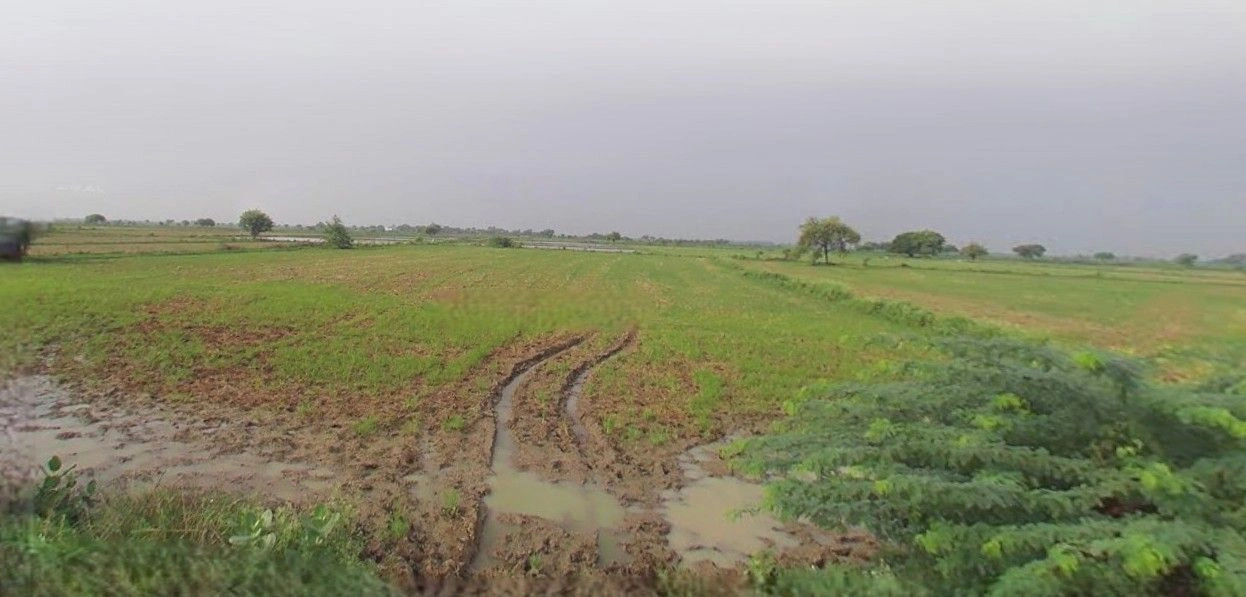 Rampur Maniharan, Uttar Pradesh 247451, India