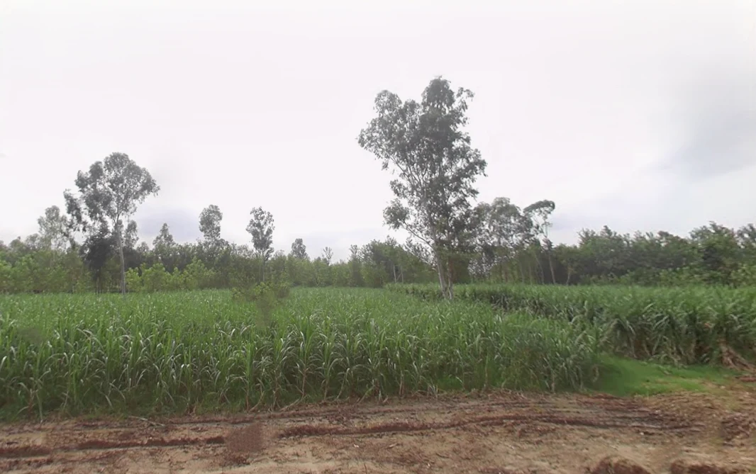 Gumti, Uttar Pradesh 247120, India