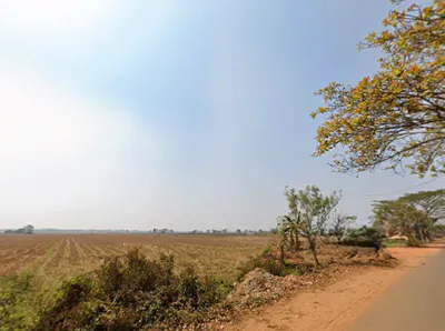 4R9J+CJF, jayapurkilla, Pipili, Hasanapur, Odisha 752104, India preview 2