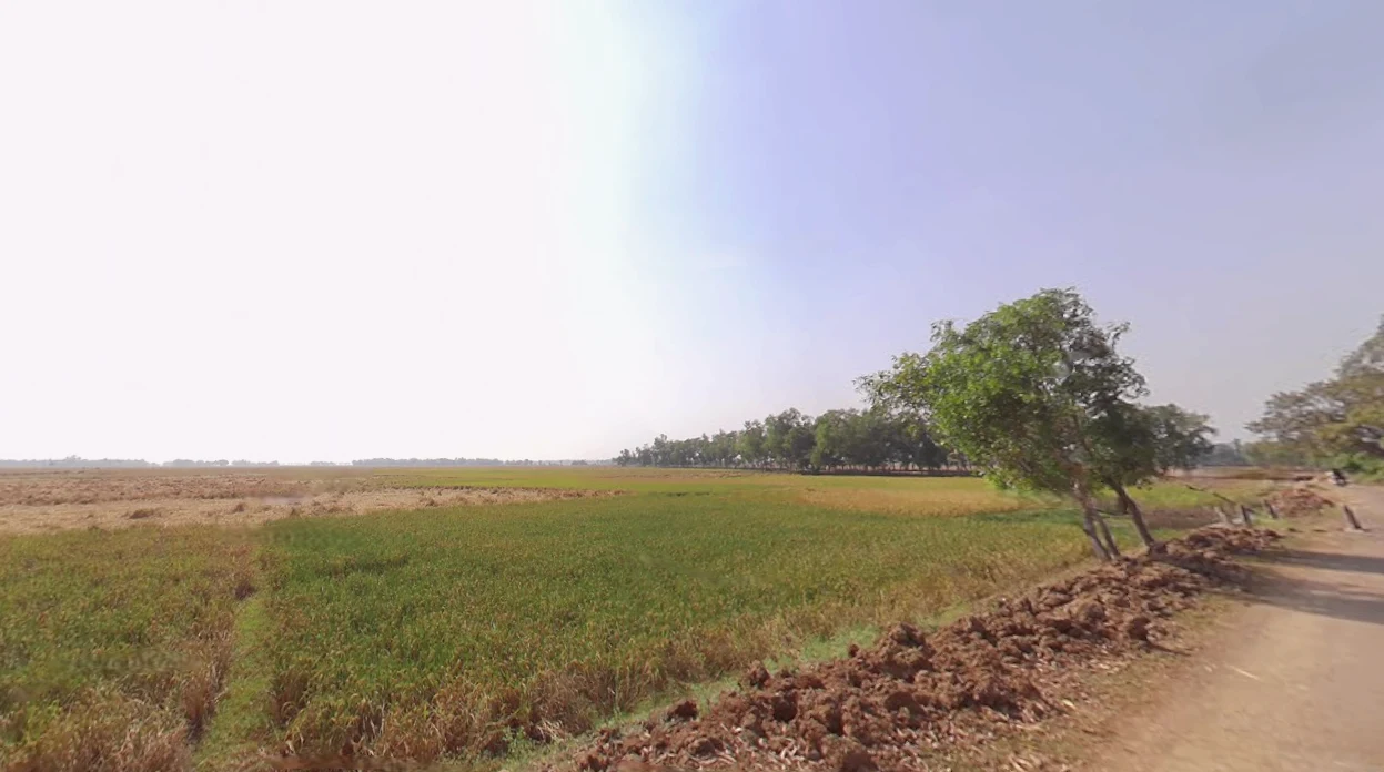 Sultanpur, West Bengal, India