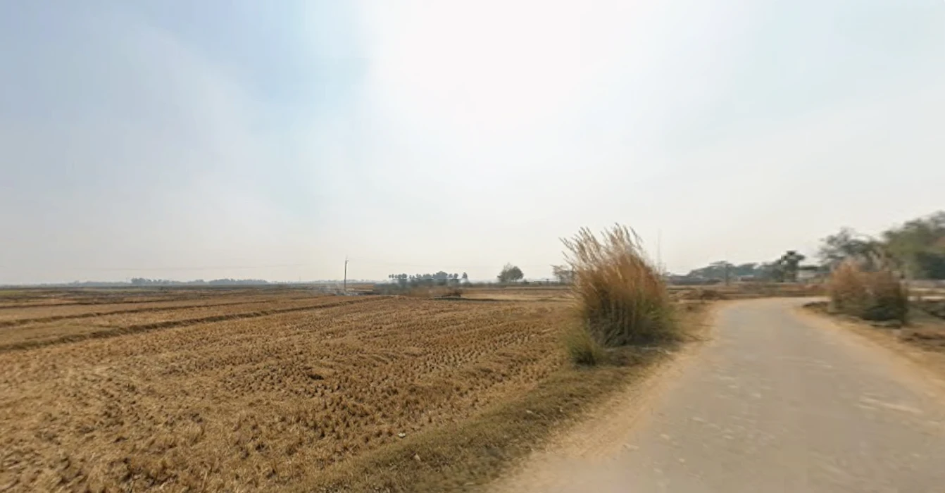 MHRV+XM, Junglee Mohal, West Bengal 735133, India preview 2