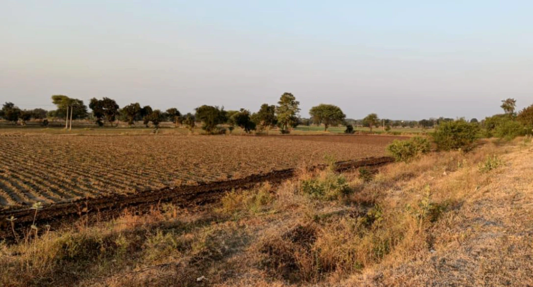 F7X2+XX Bhadson, Patiala, Punjab, India