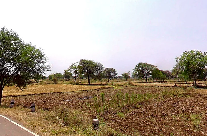 Samesar, Chhattisgarh 491337, India preview 3