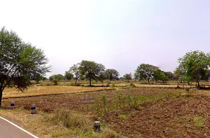 Samesar, Chhattisgarh 491337, India preview 3