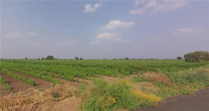 Dabhan, Gujarat, India