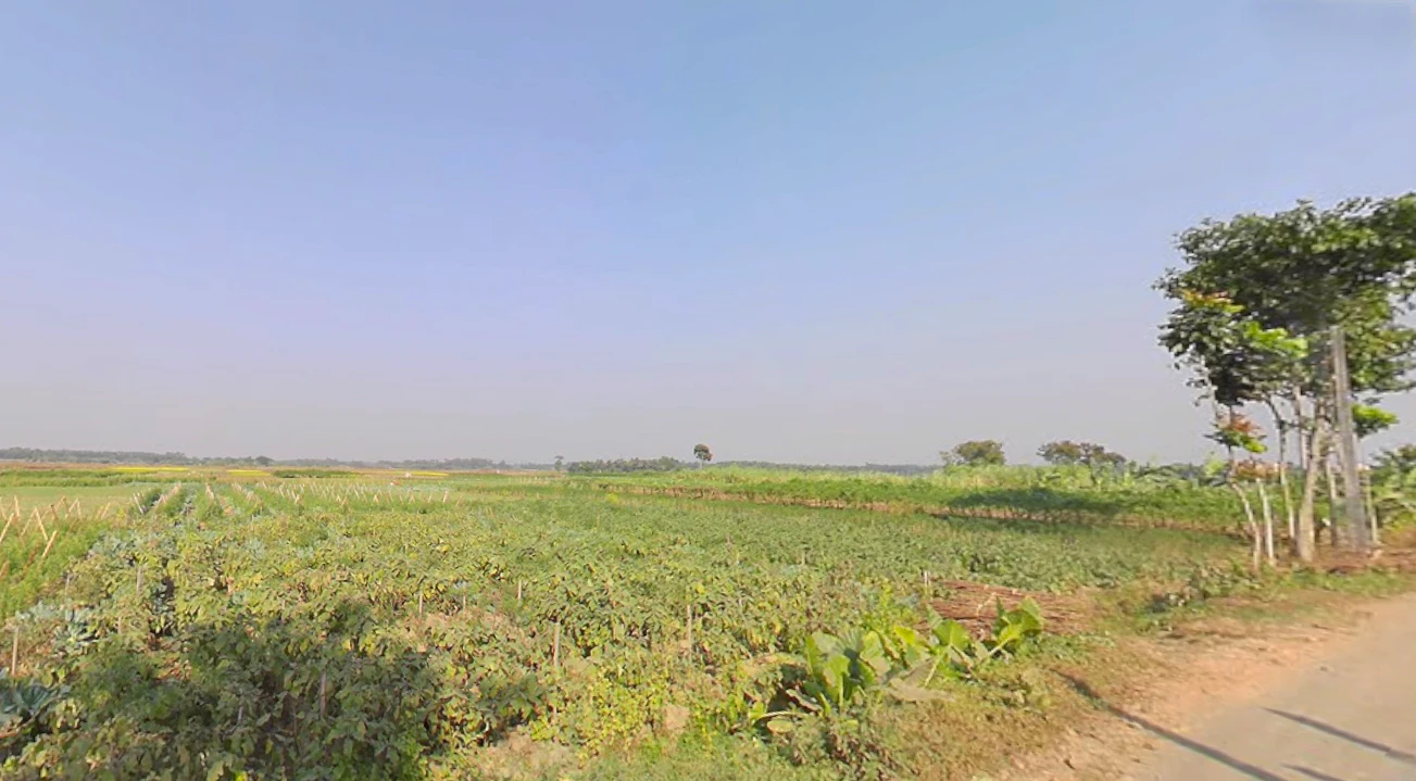 Duttapukur - Nilganj Rd, Kashim Pur, Duttapukur, Gangapur, Shibalaya, West Bengal 743248, India