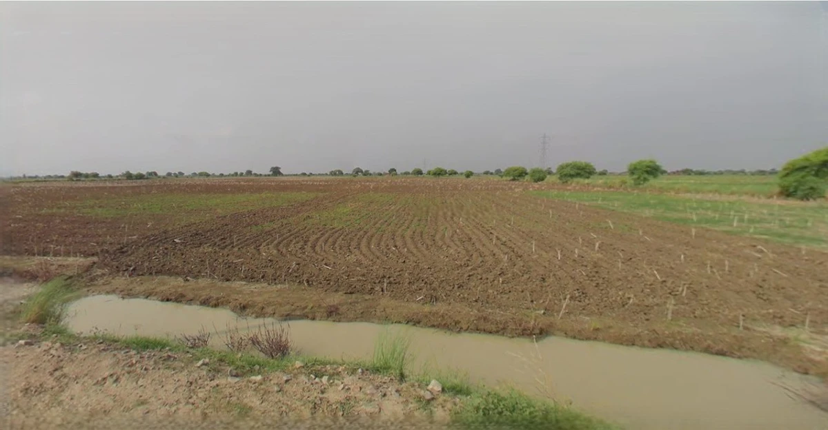 Sri Vijaynagar, Rajasthan 335704, India