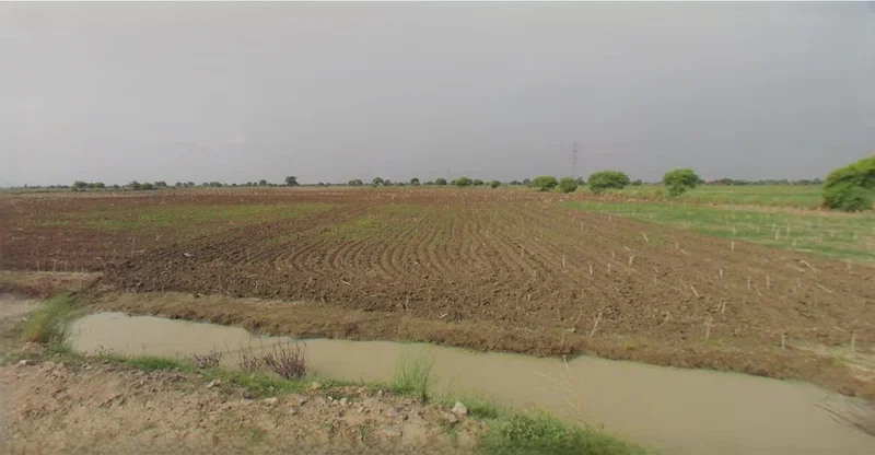 Sri Vijaynagar, Rajasthan 335704, India preview 3