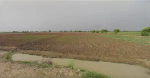 Sri Vijaynagar, Rajasthan 335704, India preview 3