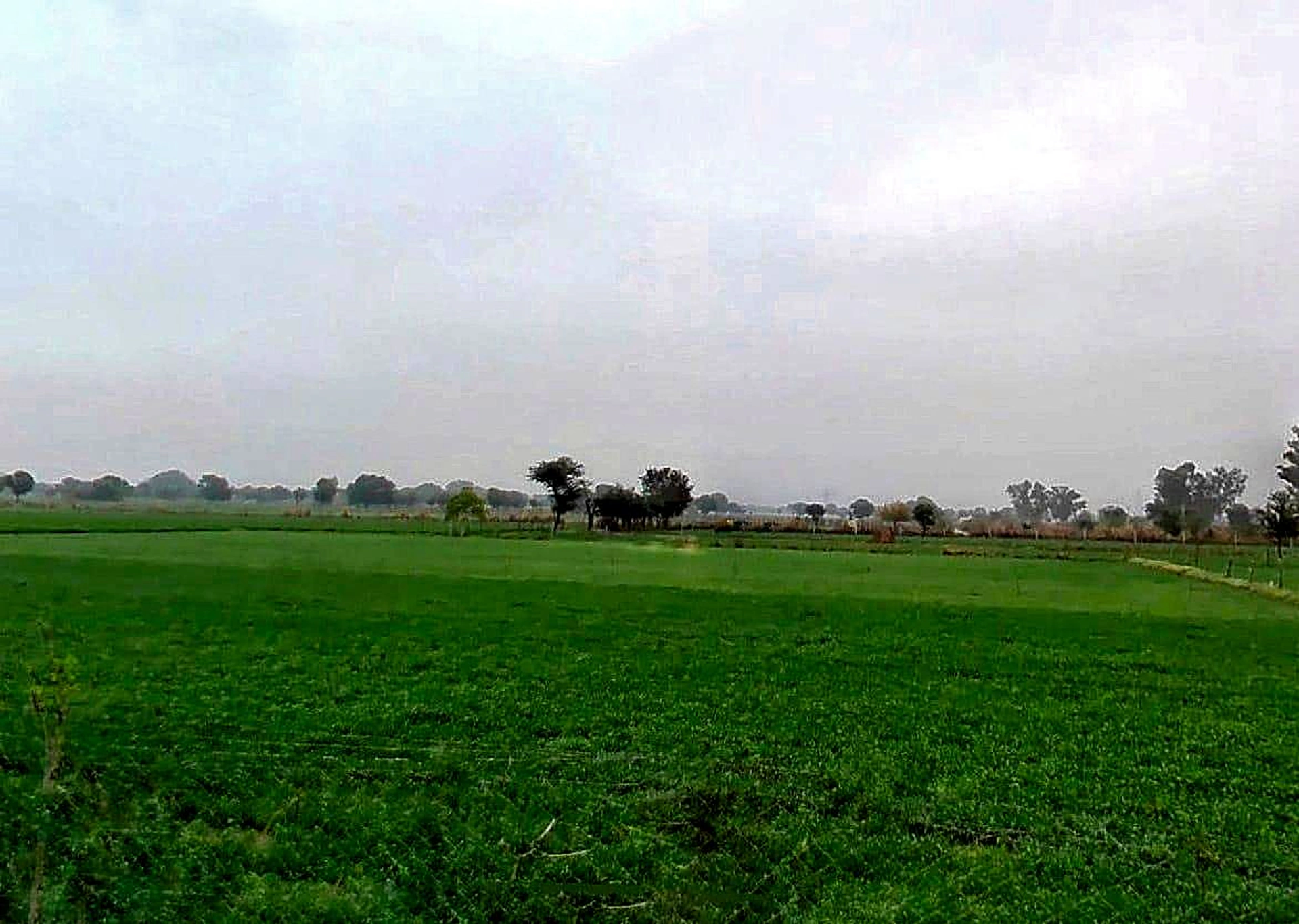 XGJ2+P2C, Bassi Naaga, Rajasthan 303124, India