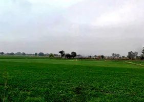 XGJ2+P2C, Bassi Naaga, Rajasthan 303124, India preview 3