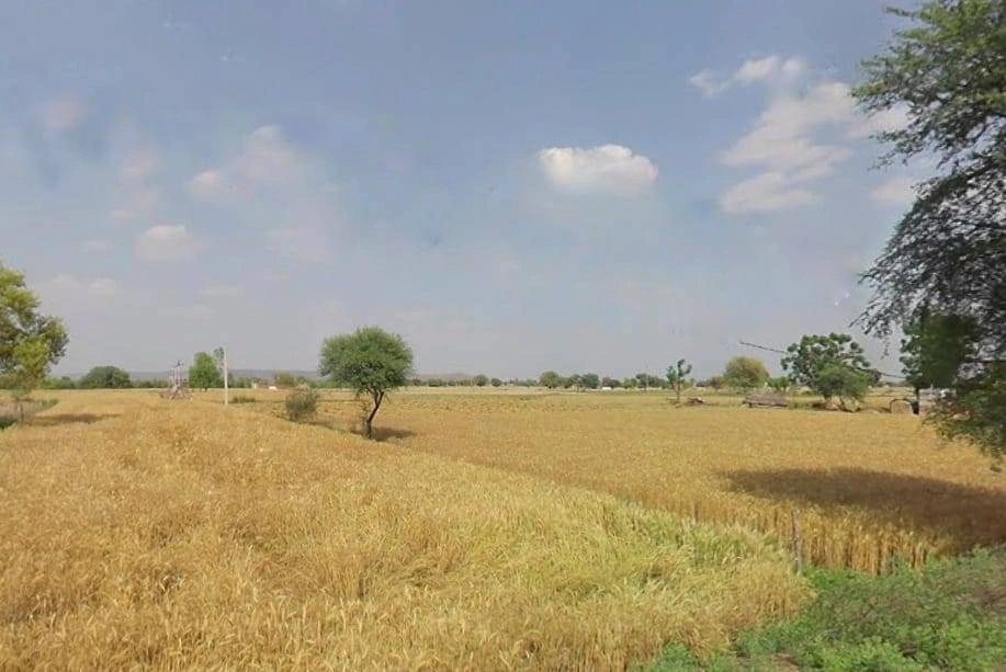 MR2P+GC8, Goojarpur Kalan, Rajasthan 301025, India