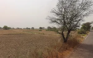 Luhari, Haryana 124108, India preview 3
