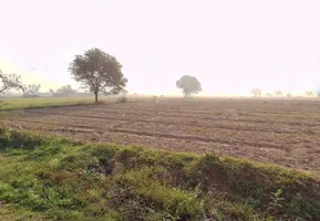 PQW7+M28, Ghasoli, Rajasthan 301405, India preview 3
