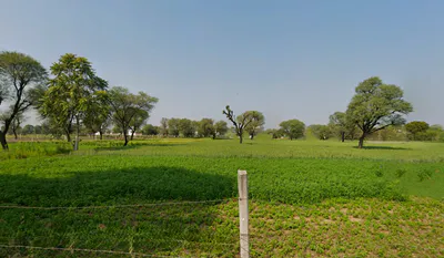 Balekhan, Rajasthan 303712, India preview 3